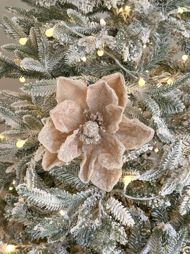 [98369] Magnolia velvet champagne piedras transparentes