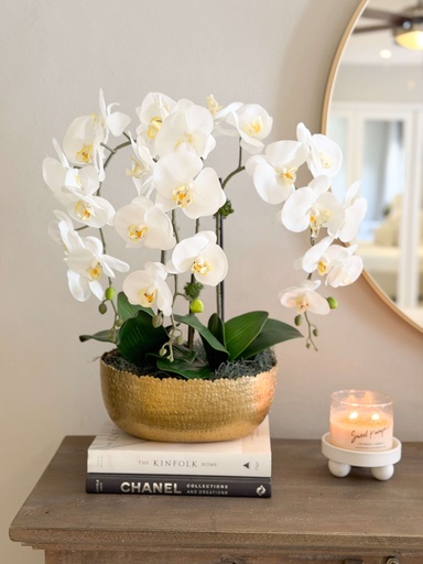 Arreglo de orquidea en base ovalada