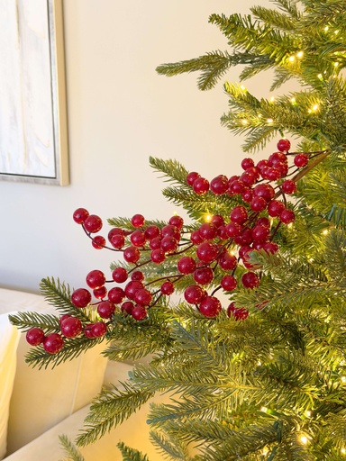 [EC580724] Rama de berries rojos brillantes