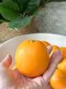 Set de 9 Naranjas Decorativas
