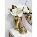 Tallo de Magnolia