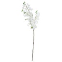 Rama de Cherry blossom blanco