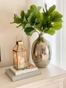 Rama Fiddle Leaf