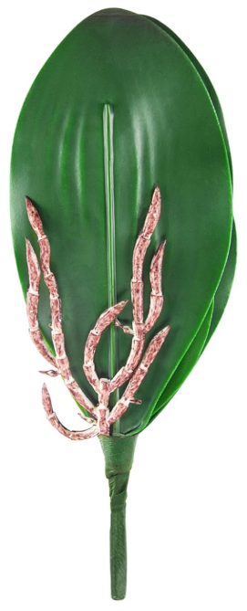 Hojas de orquídeas