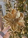 Magnolia dorada con piedras y escarcha