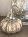 Calabazas Antique (3 tamaños)