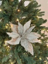 Magnolia champagne con piedras