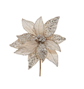 Magnolia champagne con piedras