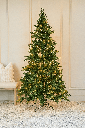 Arbol Pino Jackson de 7 pies pre-iluminado