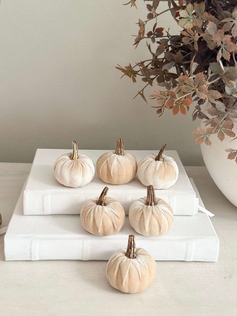 Set de 6 mini pumpkin champagne