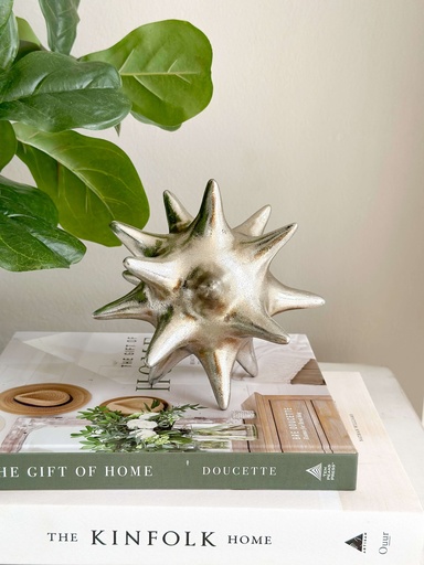 [76597] Estrella plateada decorativa