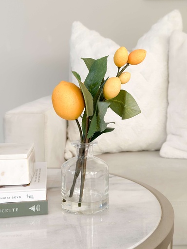 [LVL075] Jarron con limones decorativos