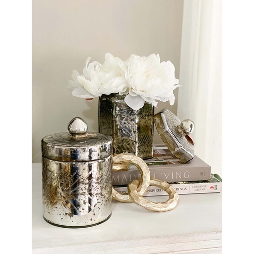 Mercury glass jar