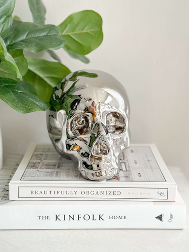 [68045] Skull plateada