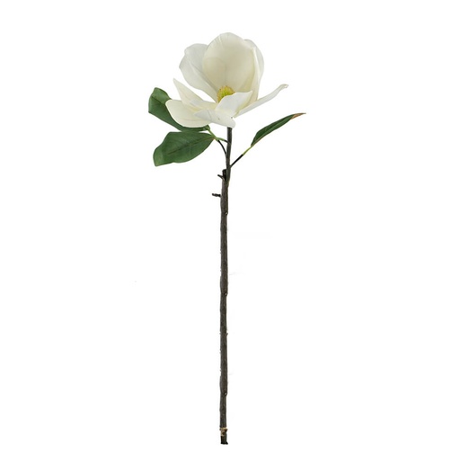 [1990] Tallo de Magnolia