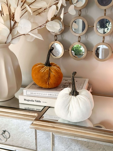 Velvet pumpkins